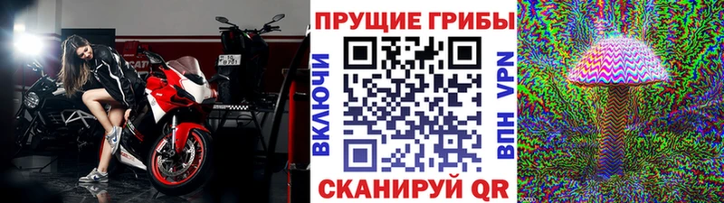 Псилоцибиновые грибы ЛСД  купить   Пучеж 
